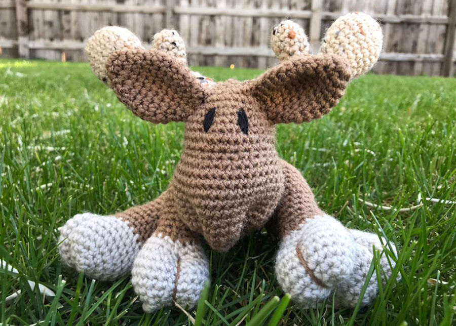 Montana the Moose amigurumi